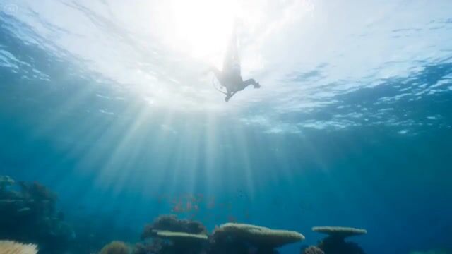 AI image generated from the “Cinematic Marine Biologist Exploration” prompt
