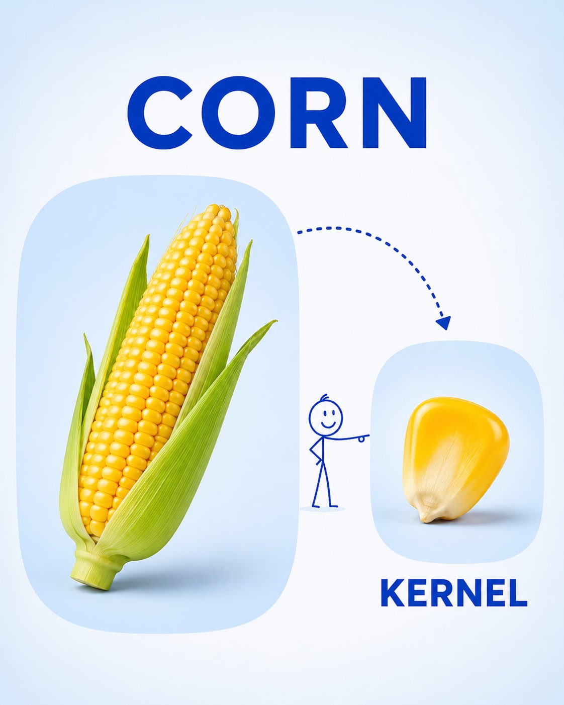 AI image generated from the “Clean, child-friendly educational vocabulary poster for” prompt