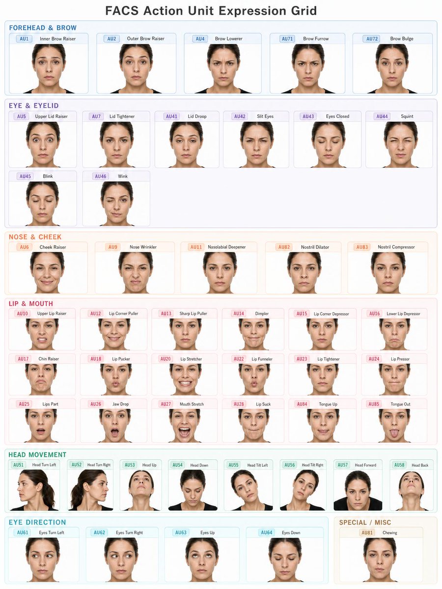 AI image generated from the “FACS Action Unit Expression Grid” prompt