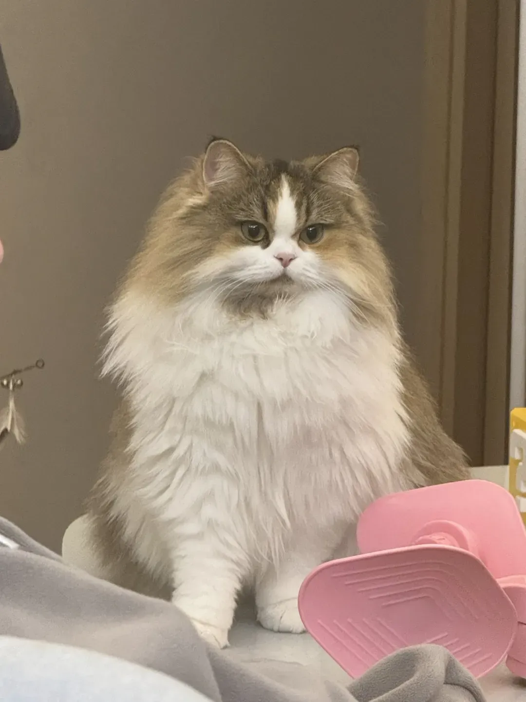 AI image generated from the “Pet Brand Collaboration Poster” prompt