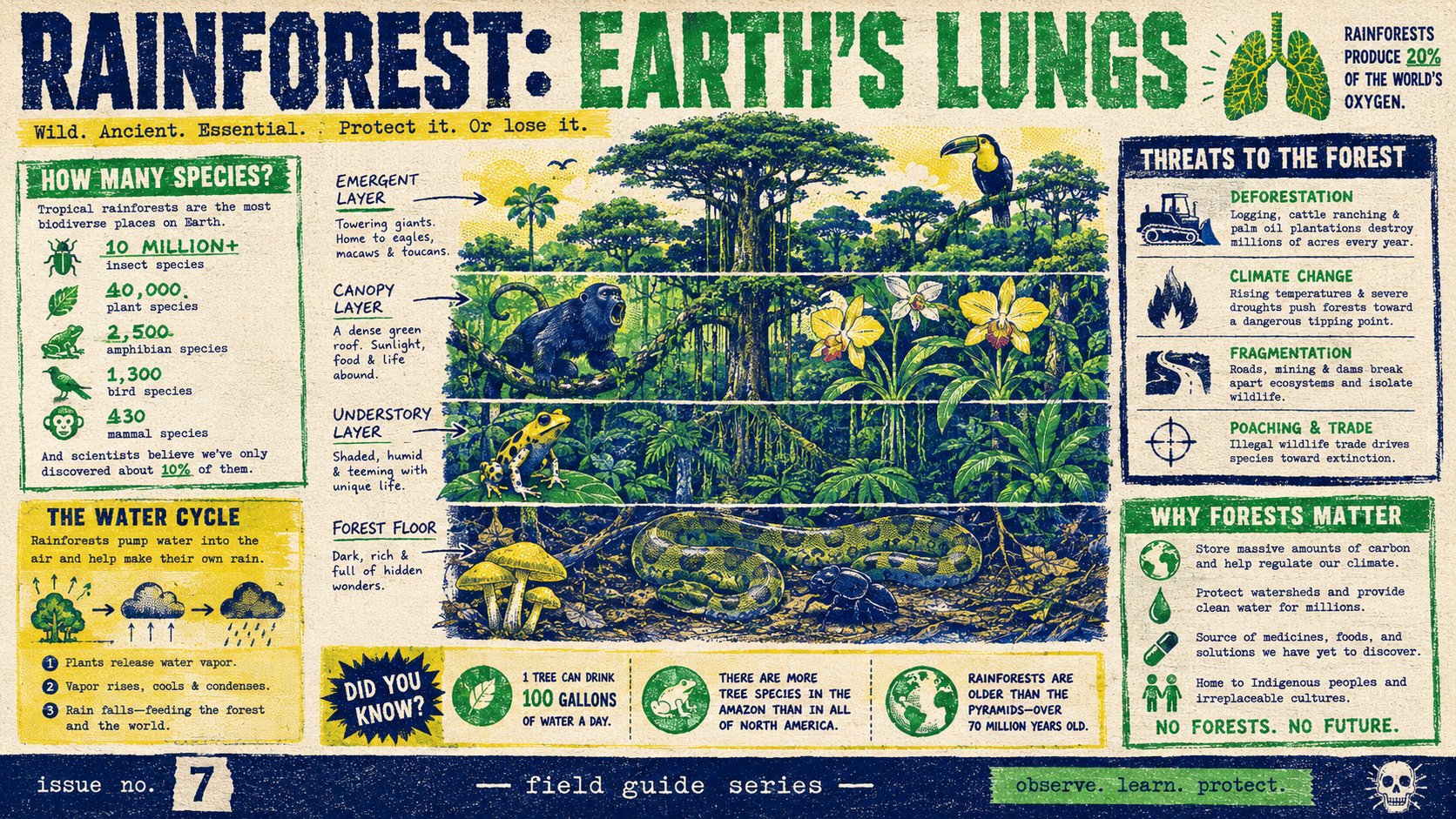 AI image generated from the “Risograph Zine Rainforest Infographic” prompt