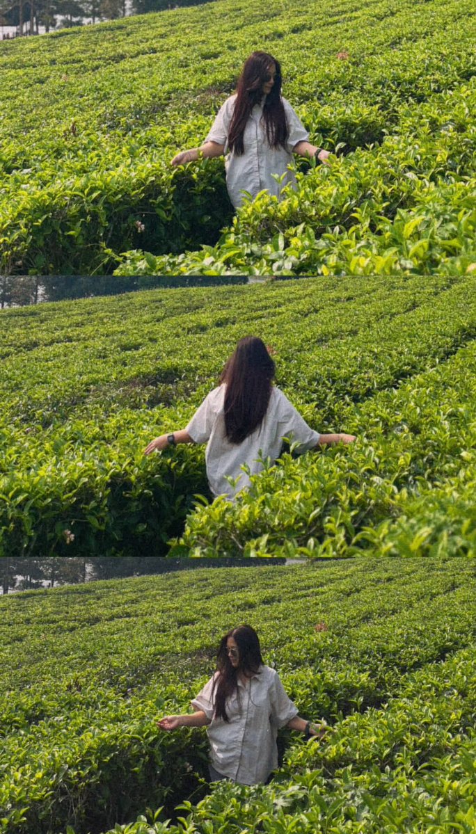 AI image generated from the “Tea Estate Storybook Collage” prompt